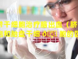 脐带干细胞治疗脑出血（脐带干细胞和胎盘干细 🦈 胞的区别）